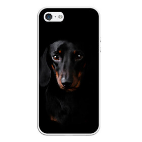 Чехол для iPhone 5/5S матовый с принтом ТАКСА в Белгороде, Силикон | Область печати: задняя сторона чехла, без боковых панелей | Тематика изображения на принте: animal | black | dog | photo | глаза | домашние | животные | звери | пес | собакен | собаки | такса | черный