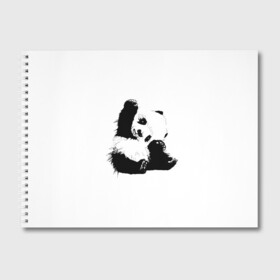 Альбом для рисования с принтом Панда минимализм в Белгороде, 100% бумага
 | матовая бумага, плотность 200 мг. | animal | bear | beast | black | minimalism | panda | white | белое | животное | зверь | краски | медведь | минимализм | панда | чернила | черно белое | черное