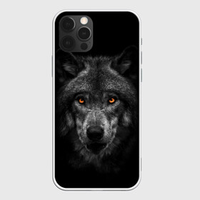 Чехол для iPhone 12 Pro Max с принтом Evil Wolf в Белгороде, Силикон |  | Тематика изображения на принте: animal | beast | dark | darkness | evil | moon | nigth | tegunvteg | werwolf | wild | wolf | вервольф | вой | волк | волки | волчара | дикий | животное | зверь | клык | клыки | луна | ночь | оборотень | полнолуние