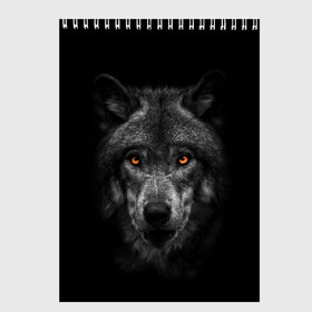 Скетчбук с принтом Evil Wolf в Белгороде, 100% бумага
 | 48 листов, плотность листов — 100 г/м2, плотность картонной обложки — 250 г/м2. Листы скреплены сверху удобной пружинной спиралью | animal | beast | dark | darkness | evil | moon | nigth | tegunvteg | werwolf | wild | wolf | вервольф | вой | волк | волки | волчара | дикий | животное | зверь | клык | клыки | луна | ночь | оборотень | полнолуние