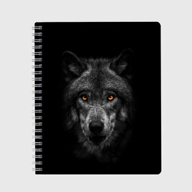 Тетрадь с принтом Evil Wolf в Белгороде, 100% бумага | 48 листов, плотность листов — 60 г/м2, плотность картонной обложки — 250 г/м2. Листы скреплены сбоку удобной пружинной спиралью. Уголки страниц и обложки скругленные. Цвет линий — светло-серый
 | animal | beast | dark | darkness | evil | moon | nigth | tegunvteg | werwolf | wild | wolf | вервольф | вой | волк | волки | волчара | дикий | животное | зверь | клык | клыки | луна | ночь | оборотень | полнолуние