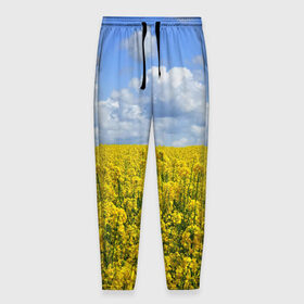 Мужские брюки 3D с принтом Желтый цвет весны в Белгороде, 100% полиэстер | манжеты по низу, эластичный пояс регулируется шнурком, по бокам два кармана без застежек, внутренняя часть кармана из мелкой сетки | art | casual | арт | весенний | весна | градиент | зелень | лето | облака | поле | растения | структура | текстура | цветы