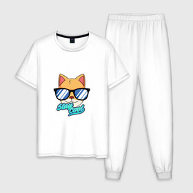 Мужская пижама хлопок с принтом Очковая кошка в Белгороде, 100% хлопок | брюки и футболка прямого кроя, без карманов, на брюках мягкая резинка на поясе и по низу штанин
 | домашняя кошка | кошка | мелус кот | милый кот | мышка | очки | очковая кошка | французская кошка