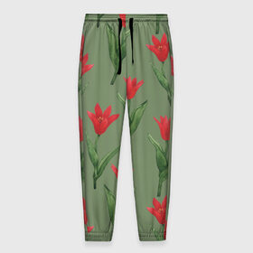 Мужские брюки 3D с принтом Красные тюльпаны на зеленом в Белгороде, 100% полиэстер | манжеты по низу, эластичный пояс регулируется шнурком, по бокам два кармана без застежек, внутренняя часть кармана из мелкой сетки | Тематика изображения на принте: 8 марта | flowers | march 8 | spring | ботаническая иллюстрация | весна | день рождения | зеленый | красный | лето | любовь | праздник | принт | природа | растения | тюльпаны | цветы