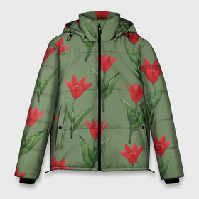 Мужская зимняя куртка 3D с принтом Красные тюльпаны на зеленом в Белгороде, верх — 100% полиэстер; подкладка — 100% полиэстер; утеплитель — 100% полиэстер | длина ниже бедра, свободный силуэт Оверсайз. Есть воротник-стойка, отстегивающийся капюшон и ветрозащитная планка. 

Боковые карманы с листочкой на кнопках и внутренний карман на молнии. | 8 марта | flowers | march 8 | spring | ботаническая иллюстрация | весна | день рождения | зеленый | красный | лето | любовь | праздник | принт | природа | растения | тюльпаны | цветы