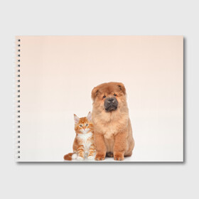 Альбом для рисования с принтом щенок и котенок друзья в Белгороде, 100% бумага
 | матовая бумага, плотность 200 мг. | Тематика изображения на принте: ветеринару | друзья | животные домашние | кот | котенок | любителю собак | млекопитающее | мультипликационный персонаж | мультяшная собака | мэй кун | песики | питомцы | псы | собакены | собаки
