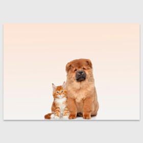 Поздравительная открытка с принтом щенок и котенок друзья в Белгороде, 100% бумага | плотность бумаги 280 г/м2, матовая, на обратной стороне линовка и место для марки
 | Тематика изображения на принте: ветеринару | друзья | животные домашние | кот | котенок | любителю собак | млекопитающее | мультипликационный персонаж | мультяшная собака | мэй кун | песики | питомцы | псы | собакены | собаки