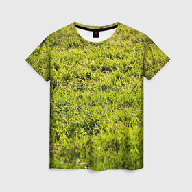 Женская футболка 3D с принтом Трава под солнцем в Белгороде, 100% полиэфир ( синтетическое хлопкоподобное полотно) | прямой крой, круглый вырез горловины, длина до линии бедер | green day | nature | spring | summer | sun | весна | день | зелень | лес | лето | парк | поле | поляна | природа | природа россии | растения | русская природа | сад | салатовый | солнце | солнышко | сочный | текстура | тр