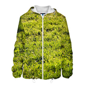Мужская куртка 3D с принтом Трава под солнцем в Белгороде, ткань верха — 100% полиэстер, подклад — флис | прямой крой, подол и капюшон оформлены резинкой с фиксаторами, два кармана без застежек по бокам, один большой потайной карман на груди. Карман на груди застегивается на липучку | green day | nature | spring | summer | sun | весна | день | зелень | лес | лето | парк | поле | поляна | природа | природа россии | растения | русская природа | сад | салатовый | солнце | солнышко | сочный | текстура | тр