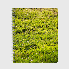 Тетрадь с принтом Трава под солнцем в Белгороде, 100% бумага | 48 листов, плотность листов — 60 г/м2, плотность картонной обложки — 250 г/м2. Листы скреплены сбоку удобной пружинной спиралью. Уголки страниц и обложки скругленные. Цвет линий — светло-серый
 | green day | nature | spring | summer | sun | весна | день | зелень | лес | лето | парк | поле | поляна | природа | природа россии | растения | русская природа | сад | салатовый | солнце | солнышко | сочный | текстура | тр