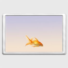 Магнит 45*70 с принтом золотая рыбка в Белгороде, Пластик | Размер: 78*52 мм; Размер печати: 70*45 | Тематика изображения на принте: аквариум | градиент | золотая рыбка | подводный мир | рыба | рыбешка | рыбка
