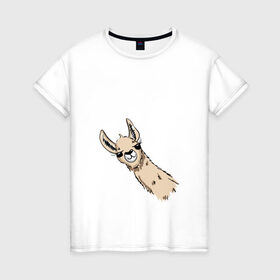 Женская футболка хлопок с принтом Лама в Белгороде, 100% хлопок | прямой крой, круглый вырез горловины, длина до линии бедер, слегка спущенное плечо | альпака | лама | любопытная лама | улыбающаяся лама