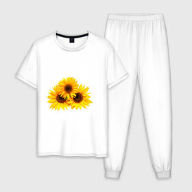 Мужская пижама хлопок с принтом Подсолнухи в Белгороде, 100% хлопок | брюки и футболка прямого кроя, без карманов, на брюках мягкая резинка на поясе и по низу штанин
 | желтый | лето | оранжевый | подсолнухи | рубэкия | румбекия | солнце | цветы | ярко