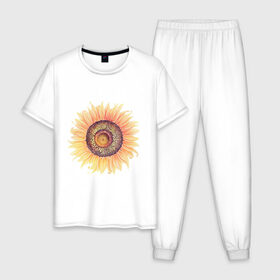 Мужская пижама хлопок с принтом большой подсолнух рисунок в Белгороде, 100% хлопок | брюки и футболка прямого кроя, без карманов, на брюках мягкая резинка на поясе и по низу штанин
 | акварель | желтый | краска | лето | оранжевый | подсолнухи | рисунок | рубэкия | румбекия | солнце | цветы | ярко