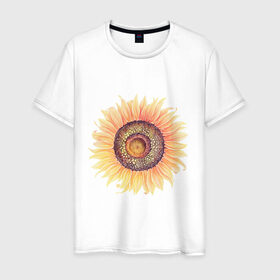 Мужская футболка хлопок с принтом большой подсолнух рисунок в Белгороде, 100% хлопок | прямой крой, круглый вырез горловины, длина до линии бедер, слегка спущенное плечо. | акварель | желтый | краска | лето | оранжевый | подсолнухи | рисунок | рубэкия | румбекия | солнце | цветы | ярко