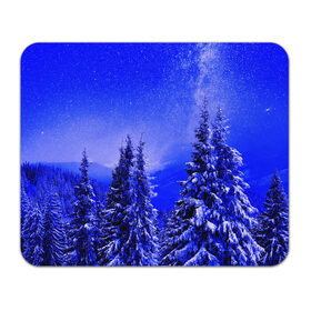 Коврик для мышки прямоугольный с принтом Зимний лес в Белгороде, натуральный каучук | размер 230 х 185 мм; запечатка лицевой стороны | tegunvteg | деревья | зима | зимний лес | лес | листья | мороз | природа | снег | темный лес
