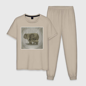 Мужская пижама хлопок с принтом Слоны в Белгороде, 100% хлопок | брюки и футболка прямого кроя, без карманов, на брюках мягкая резинка на поясе и по низу штанин
 | Тематика изображения на принте: иллюстрация | рисунок | серый | слон | слоненок