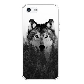 Чехол для iPhone 5/5S матовый с принтом Волк в Белгороде, Силикон | Область печати: задняя сторона чехла, без боковых панелей | tegunvteg | волк | деревья | красивый лес | лес | листья | природа | собака | темный лес