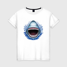 Женская футболка хлопок с принтом АКУЛА ЧЕЛЮСТИ в Белгороде, 100% хлопок | прямой крой, круглый вырез горловины, длина до линии бедер, слегка спущенное плечо | fish | jaws | megalodon | shark | teeth | white shark | акула | белая акула | зубы | клыки | мегалодон | пасть | рот | рыба | челюсти