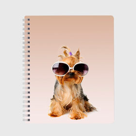 Тетрадь с принтом собака в очках в Белгороде, 100% бумага | 48 листов, плотность листов — 60 г/м2, плотность картонной обложки — 250 г/м2. Листы скреплены сбоку удобной пружинной спиралью. Уголки страниц и обложки скругленные. Цвет линий — светло-серый
 | лето | маленткая | мода | отдых | очки | собака | солнечные очки | солнцезащитные очки | хвостик