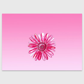Поздравительная открытка с принтом розовая ромашка в Белгороде, 100% бумага | плотность бумаги 280 г/м2, матовая, на обратной стороне линовка и место для марки
 | акварель | арт | весна | гортензия | лето | природа | рисунок | розовый | ромашка | свежесть | цветок | цветы | яркий | ярко