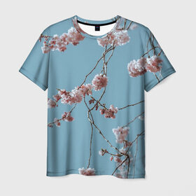 Мужская футболка 3D с принтом Весна в Белгороде, 100% полиэфир | прямой крой, круглый вырез горловины, длина до линии бедер | весна | небо | сакура | свежесть | цветы