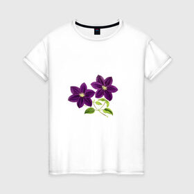 Женская футболка хлопок с принтом Два цветка в Белгороде, 100% хлопок | прямой крой, круглый вырез горловины, длина до линии бедер, слегка спущенное плечо | иллюстрации | картинки | лето | листья | популярные | прикольные | природа | тренд | цветы