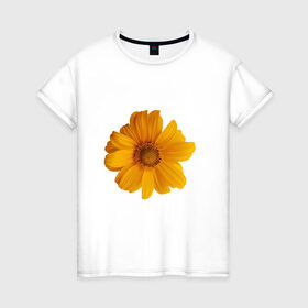 Женская футболка хлопок с принтом Подсолнух в Белгороде, 100% хлопок | прямой крой, круглый вырез горловины, длина до линии бедер, слегка спущенное плечо | иллюстрации | картинки | лето | подсолнух | популярные | прикольные | природа | тренд | цветы