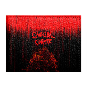 Обложка для студенческого билета с принтом CANNIBAL CORPSE в Белгороде, натуральная кожа | Размер: 11*8 см; Печать на всей внешней стороне | blood | cannibal corpse | death metal | grunge | hardcore | music | punk | rock | usa | группа | канибал | кровь | метал | музыка | рок | сша | труп