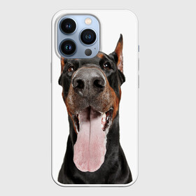 Чехол для iPhone 13 Pro с принтом Доберман   Doberman в Белгороде,  |  | doberman | dog | барбос | доберман | друг человека | пёс | псина | собака | собачка | собачонка | четвероногий друг | щенок