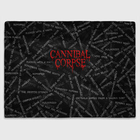 Плед 3D с принтом Cannibal Corpse | Songs (Z) в Белгороде, 100% полиэстер | закругленные углы, все края обработаны. Ткань не мнется и не растягивается | cannibal | cannibal corpse | corpse | death metal | deathgrind | алекс уэбстер | брутальный дэт метал | дэт метал | дэтграйнд | пол мазуркевич | роб барретт | труп каннибала