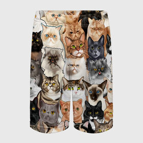 Детские спортивные шорты 3D с принтом Котики смешные в Белгороде,  100% полиэстер
 | пояс оформлен широкой мягкой резинкой, ткань тянется
 | Тематика изображения на принте: cat | cats | cosmos | kitten | mem | memes | rose | roses | глаза | глазки | еда | киска | космос | кот | котёнок | котик | котики | котэ | котята | кошак | кошка | кошки | красивая | мем | мемчики | милая | прикольная | розы