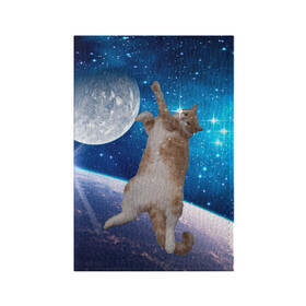 Обложка для паспорта матовая кожа с принтом Кисулькин в космосе в Белгороде, натуральная матовая кожа | размер 19,3 х 13,7 см; прозрачные пластиковые крепления | астроном пушистый | барсик | звезды | космос | котики | коты