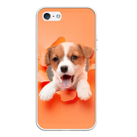 Чехол для iPhone 5/5S матовый с принтом Собака в Белгороде, Силикон | Область печати: задняя сторона чехла, без боковых панелей | dog | барбос | дворняга | друг человека | пёс | псина | собака | собачка | собачонка | четвероногий друг | шарик | щенок