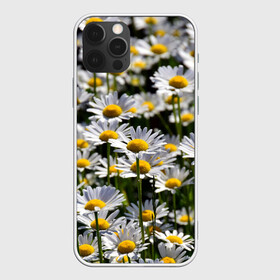 Чехол для iPhone 12 Pro Max с принтом Ромашки в Белгороде, Силикон |  | поле | поля | природа | природный | растение | растения | ромашка | ромашки | цветочек | цветочки | цветочное | цветы