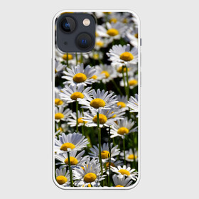 Чехол для iPhone 13 mini с принтом Ромашки в Белгороде,  |  | поле | поля | природа | природный | растение | растения | ромашка | ромашки | цветочек | цветочки | цветочное | цветы