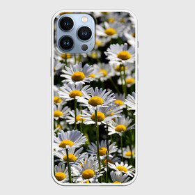 Чехол для iPhone 13 Pro Max с принтом Ромашки в Белгороде,  |  | поле | поля | природа | природный | растение | растения | ромашка | ромашки | цветочек | цветочки | цветочное | цветы