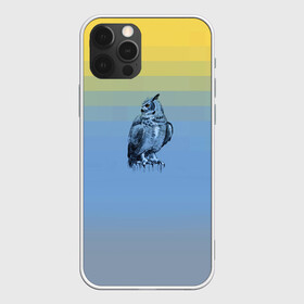 Чехол для iPhone 12 Pro Max с принтом филин в Белгороде, Силикон |  | color2021 | illuminating | pantone | ultimate grey | yellow | желтый | природа | путешествия | серый | сова