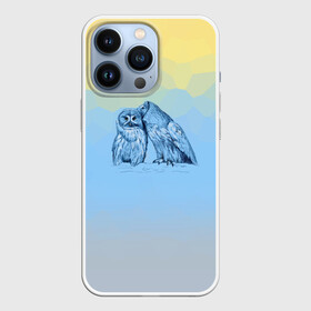 Чехол для iPhone 13 Pro с принтом Совиная нежность в Белгороде,  |  | 2021 | color2021 | illuminating | pantone | ultimate grey | yellow | желтый | любовь | природа | путешествия | серый | совы