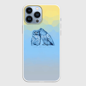 Чехол для iPhone 13 Pro Max с принтом Совиная нежность в Белгороде,  |  | 2021 | color2021 | illuminating | pantone | ultimate grey | yellow | желтый | любовь | природа | путешествия | серый | совы