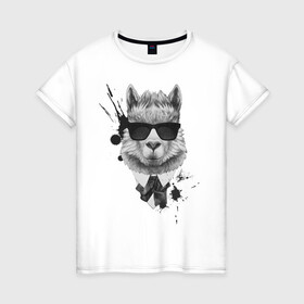 Женская футболка хлопок с принтом лам в черных очках в Белгороде, 100% хлопок | прямой крой, круглый вырез горловины, длина до линии бедер, слегка спущенное плечо | llama | альпака | животные | лама