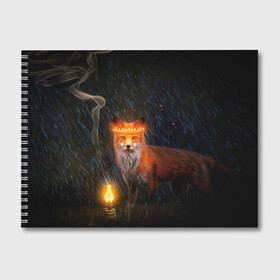 Альбом для рисования с принтом Лиса с огненной короной в Белгороде, 100% бумага
 | матовая бумага, плотность 200 мг. | fox | foxy | животное | звери | лиса | лисенок | лисичка | милая | рыжая | фокс