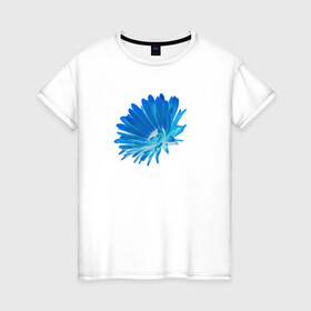 Женская футболка хлопок с принтом Голубой цветок в Белгороде, 100% хлопок | прямой крой, круглый вырез горловины, длина до линии бедер, слегка спущенное плечо | контраст | цветок