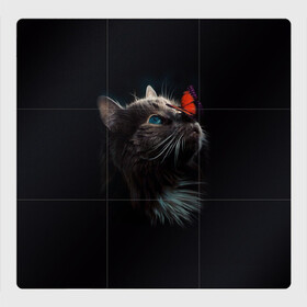 Магнитный плакат 3Х3 с принтом Котик и бабочка в Белгороде, Полимерный материал с магнитным слоем | 9 деталей размером 9*9 см | бабочка | бабочка на носу | животные | кот | котенок | кошка