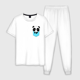 Мужская пижама хлопок с принтом Панда милашка в кармашке в Белгороде, 100% хлопок | брюки и футболка прямого кроя, без карманов, на брюках мягкая резинка на поясе и по низу штанин
 | животное | карман | малышка | медведь | милашка