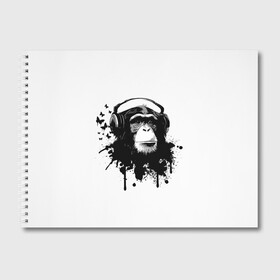 Альбом для рисования с принтом Обезьяна Меломан в Белгороде, 100% бумага
 | матовая бумага, плотность 200 мг. | black | blot | butterflies | chimpanzee | gorilla | headphones | ink | lover | monkey | music | sheet | white | бабочки | белое | горилла | клякса | меломан | музыка | наушники | ноты | обезьяна | спокойствие | умиротворение | чернила | черное