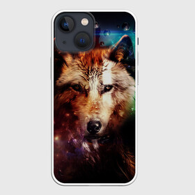 Чехол для iPhone 13 mini с принтом WOLF в Белгороде,  |  | wolf | абстракция | волк | хищник