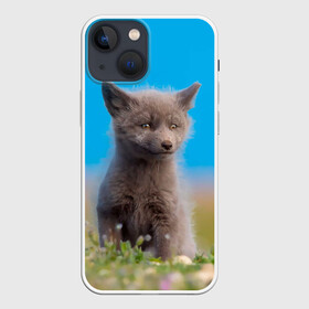 Чехол для iPhone 13 mini с принтом Смешной лисенок в Белгороде,  |  | fox | foxy | животное | звери | лиса | лисенок | лисичка | милая | рыжая | фокс