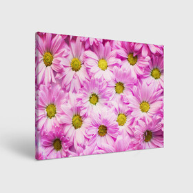 Холст прямоугольный с принтом Цветы в Белгороде, 100% ПВХ |  | Тематика изображения на принте: лето | маргаритки | розовый | фон | цветы