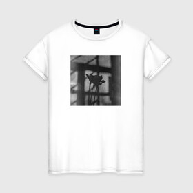 Женская футболка хлопок с принтом Нарциссы на фоне окна в Белгороде, 100% хлопок | прямой крой, круглый вырез горловины, длина до линии бедер, слегка спущенное плечо | нарциссы | натюрморт | природа | цветы | чёрное и белое